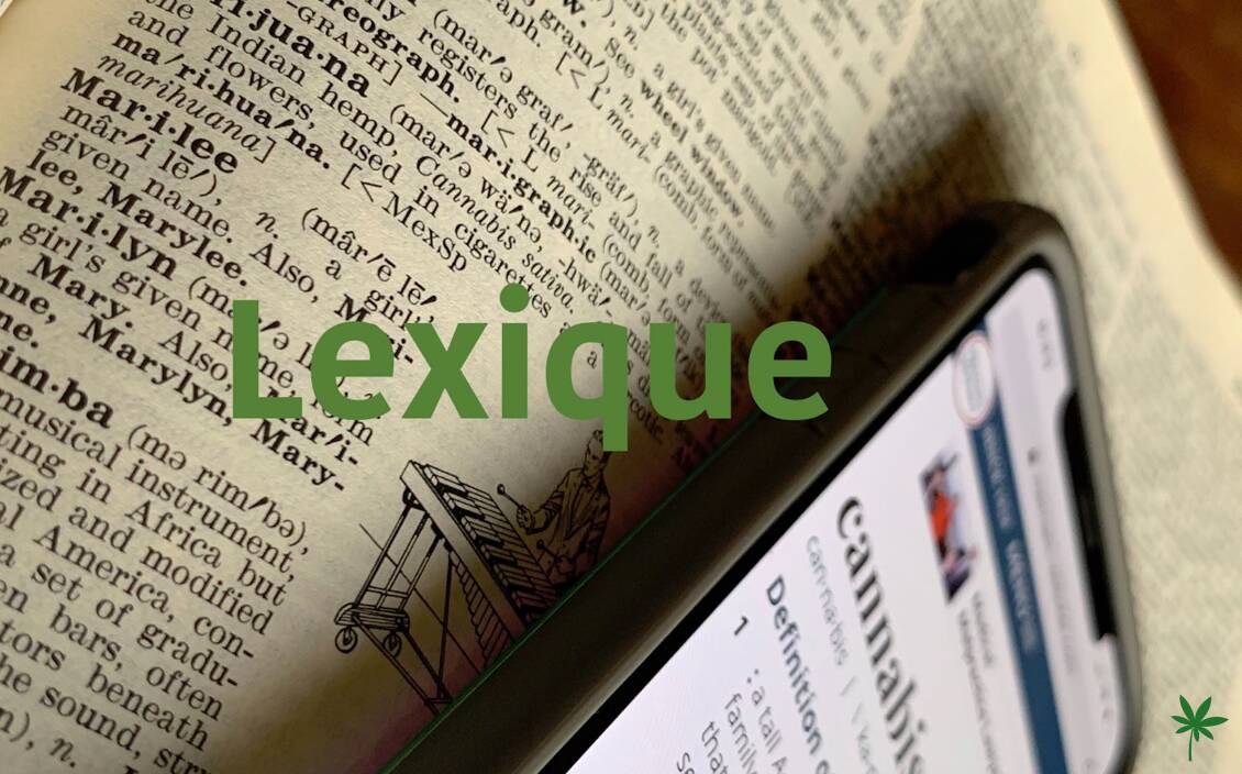 lexique cbd